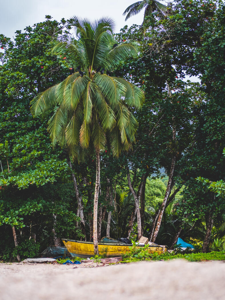 Grand Riviere, Trinidad